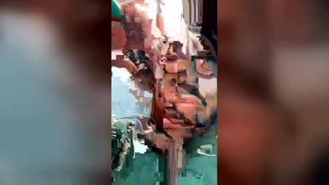 tathan0496 online show from 10, 5, 2026