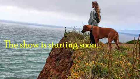 TATUM  ALL MY LINKS  online show from 9, 11, 2025