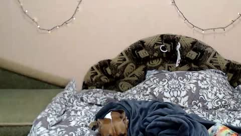 Taya online show from 5, 1, 2026