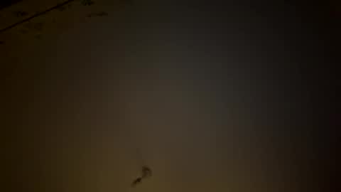 teecup4osk online show from 8, 2, 2026