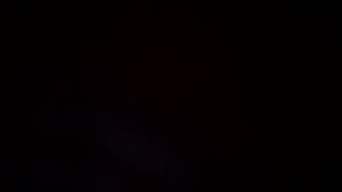 Twizzler online show from 5, 1, 2025