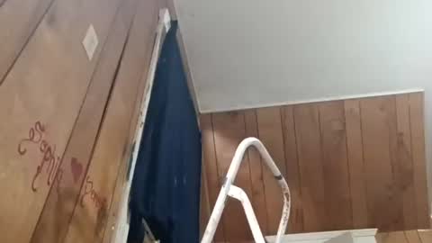 TexasDick online show from 14, 7, 2026