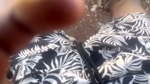 Snapshot of thatoneguy2802 chatting on 17, 1, 2026 thatoneguy2802 online show from 17, 1, 2026