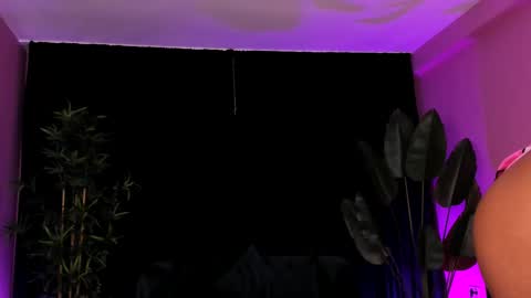 Aisha online show from 13, 1, 2026