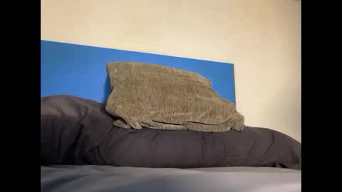 thebulge_b0y online show from 20, 10, 2025