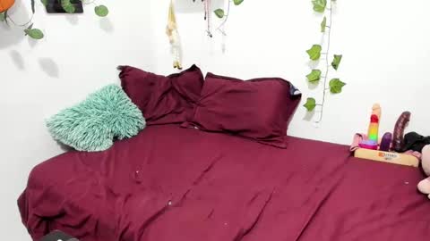 Ariamapola88 online show from 30, 1, 2025