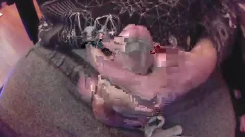 Snapshot of thefoxandthecat69 chatting on 8, 1, 2025 The Fox The Cat online show from 8, 1, 2025