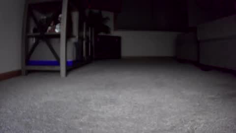 Snapshot of thegreat6268469 chatting on 24, 12, 2024 thegreat6268469 online show from 24, 12, 2024