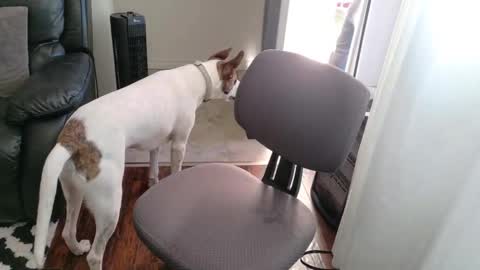 thekodyy online show from 15, 11, 2025