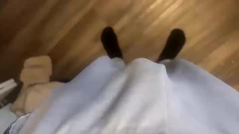 theplummer99 online show from 11, 10, 2025