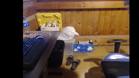 Snapshot of therealbigcheese0695 chatting on 29, 10, 2025 therealbigcheese0695 online show from 29, 10, 2025