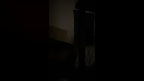 Snapshot of therealmrpleaseher chatting on 8, 8, 2026 MR PLEASEHER online show from 8, 8, 2026