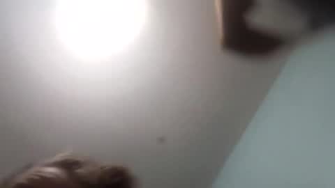 Snapshot of thetinyturtle chatting on 15, 1, 2026 thetinyturtle online show from 15, 1, 2026