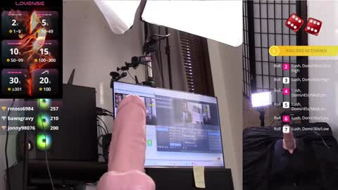 Snapshot of thewillowfox chatting on 28, 1, 2025 The Willow Fox online show from 28, 1, 2025