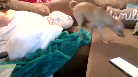 Snapshot of theycallmemellowthebreeze chatting on 5, 2, 2025 mellow online show from 5, 2, 2025