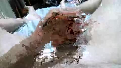 Snapshot of thick_hard_daddy chatting on 8, 10, 2025 Tommy online show from 8, 10, 2025