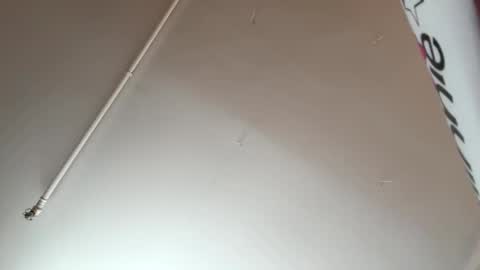 thickcock4ever online show from 15, 2, 2026