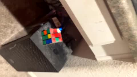 Thiccccc online show from 6, 3, 2025