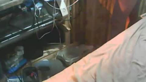 Snapshot of thisguyscott976866 chatting on 18, 1, 2026 Thisguyscott online show from 18, 1, 2026