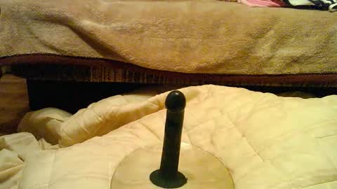 Snapshot of thongsandstockings chatting on 1, 12, 2025 Thongsandstocking online show from 1, 12, 2025