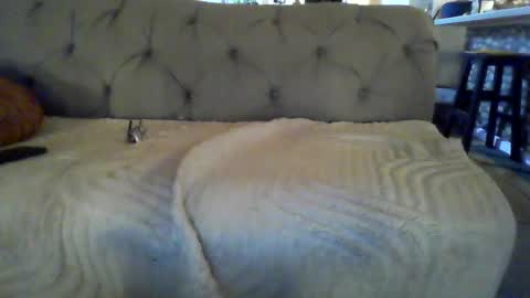 Snapshot of throbbing_jim chatting on 1, 8, 2026 Jim online show from 1, 8, 2026