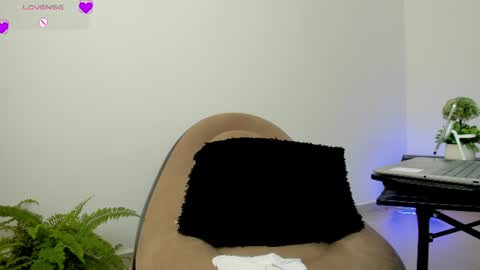 carolina online show from 13, 7, 2026