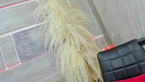 Snapshot of tiff_valentine chatting on 5, 2, 2025 Tiffany online show from 5, 2, 2025