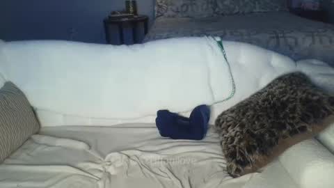 Snapshot of tiffanilove chatting on 8, 2, 2025 Tiffani Love online show from 8, 2, 2025