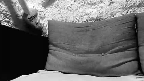 tigerbigcockkk online show from 7, 10, 2025