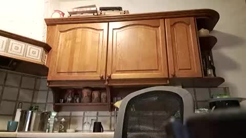 Snapshot of tigermatt76e chatting on 1, 3, 2026 tigermatt76e online show from 1, 3, 2026