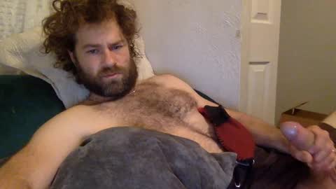 Snapshot of tigerzaddy chatting on 19, 12, 2024 tigerzaddy online show from 19, 12, 2024
