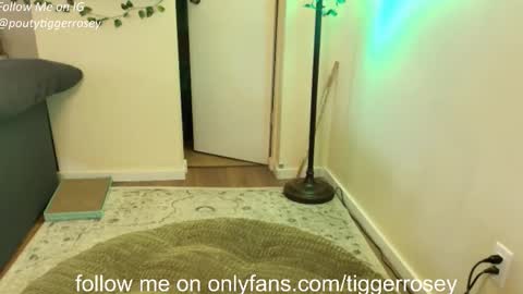 Snapshot of tiggerrosey chatting on 21, 4, 2026 All my Links online show from 21, 4, 2026