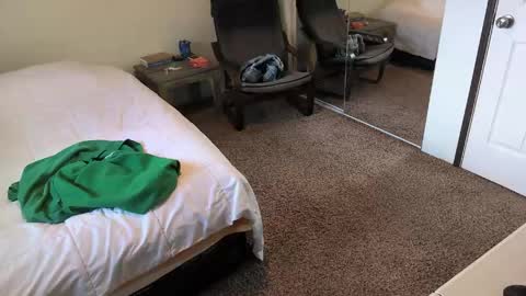 timberelove online show from 16, 4, 2026