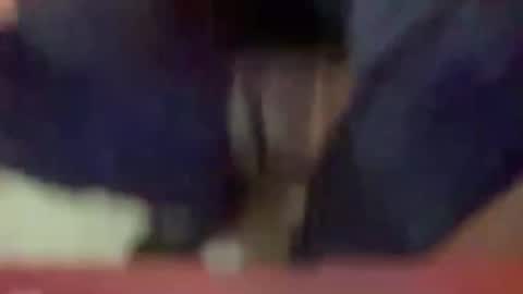 Timplaw online show from 3, 1, 2025