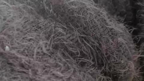 tinyslut66 online show from 30, 3, 2026