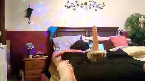 Tiptooc online show from 15, 1, 2026