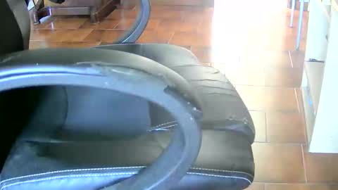 Tobiko online show from 26, 4, 2026