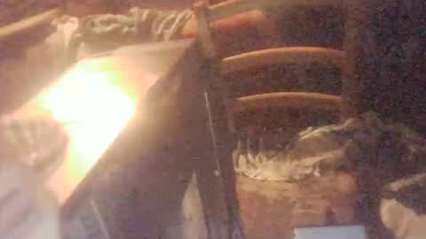 Snapshot of tobimcfly723 chatting on 16, 4, 2026 tobimcfly723 online show from 16, 4, 2026