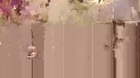 Toby Obeys online show from 27, 10, 2025