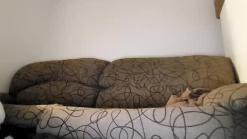 ToffBuck online show from 9, 2, 2026