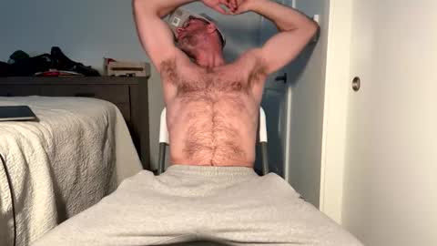 The Beekeeper online show from 1, 2, 2026