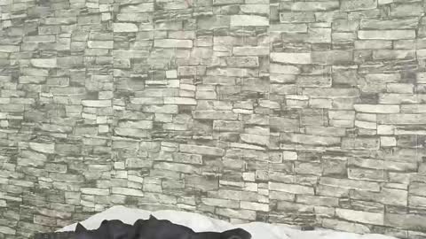 Snapshot of tokyosky chatting on 5, 1, 2026 Tokyo online show from 5, 1, 2026