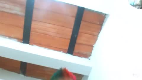 Blue online show from 3, 3, 2025