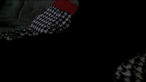 Bima online show from 29, 1, 2025