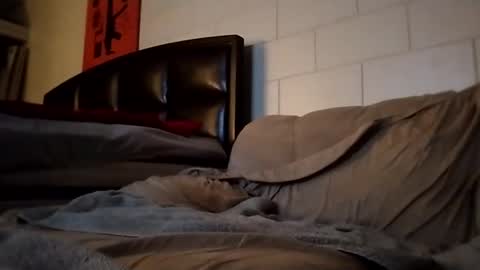 Snapshot of tomthebomb347 chatting on 14, 9, 2025 tomthebomb347 online show from 14, 9, 2025