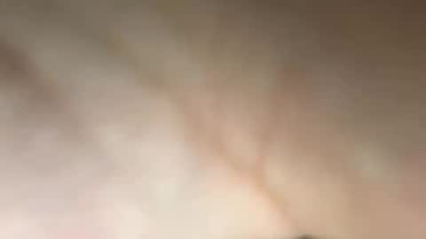 tomusa2 online show from 14, 9, 2025