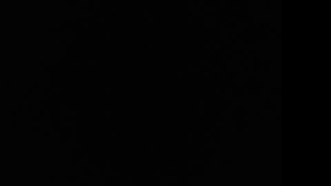 Snapshot of tooobvious chatting on 10, 1, 2025 tooobvious online show from 10, 1, 2025