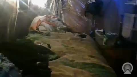 tootall1991420 online show from 26, 10, 2025