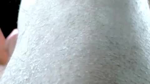 tornne online show from 26, 3, 2026