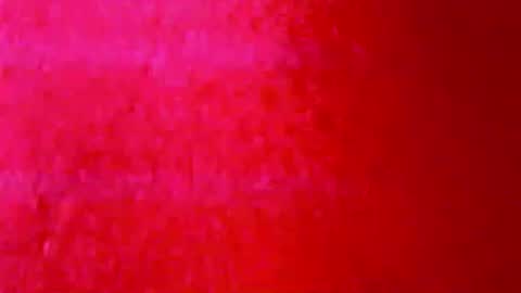 tornne online show from 31, 3, 2026